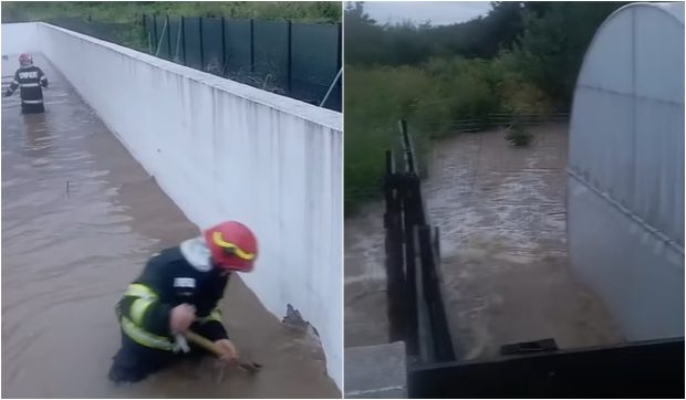 Inundațiile au făcut prăpăd în Prahova, în timpul codului roșu: casele și gospodăriile oamenilor, sub ape. Pompierii intervin în mai multe localități | VIDEO
