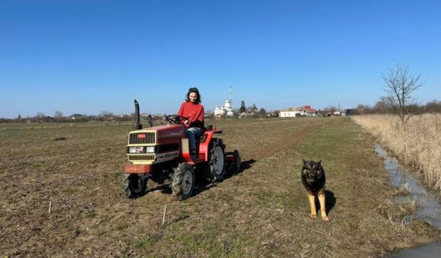 O fostă rezidentă în Germania dezvoltă prima fermă modernă de sparanghel în Argeș, extinzând o afacere agricolă inovatoare