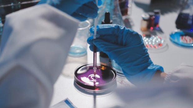 Inteligența artificială revoluționează dezvoltarea produselor de consum, de la cosmetice la alimente