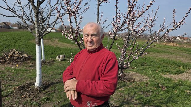 Român întors acasă după 25 de ani în Germania: „Și urzica e mai faină aici decât trandafirii dincolo”