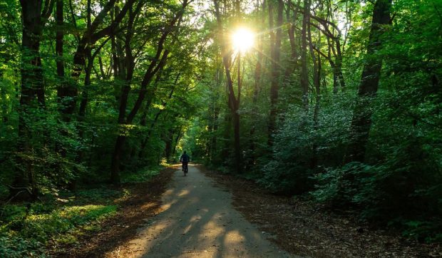 Centura Verde a Bucureștiului: 250 de hectare noi de infrastructură verde