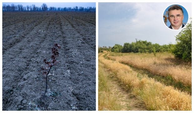 Tufișul Memoriei Naționale – parcul de 4 milioane de euro, dedicat eroilor, girat de MApN și lansat cu fanfară de „baronul” Marian Oprișan, e pe cale să devină teren de vânătoare