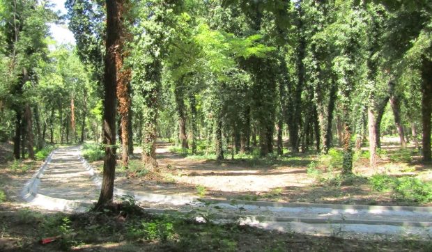 Parcul Căprioarelor din Brăila, modernizat pentru interacțiune educativă: automate de hrană și condiții speciale pentru animale