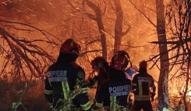 Pompierii români se luptă cu incendiile din Franța. Emmanuel Macron a mulțumit României pentru sprijinul acordat