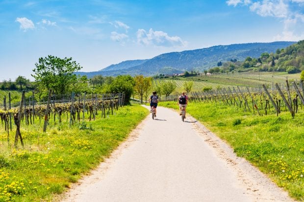 9 Destinații de Vis în Germania pentru O Vacanță de Vară Inedită