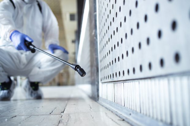 Servicii Contracte DDD – Dezinsectie Plosnite București