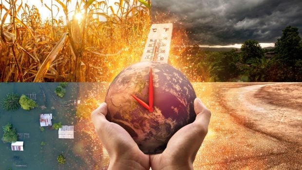 Urmează cel mai puternic El Niño din ultimii 75 de ani. Economiștii avertizează: prețurile globale la alimente și energie pot crește în perioada următoare