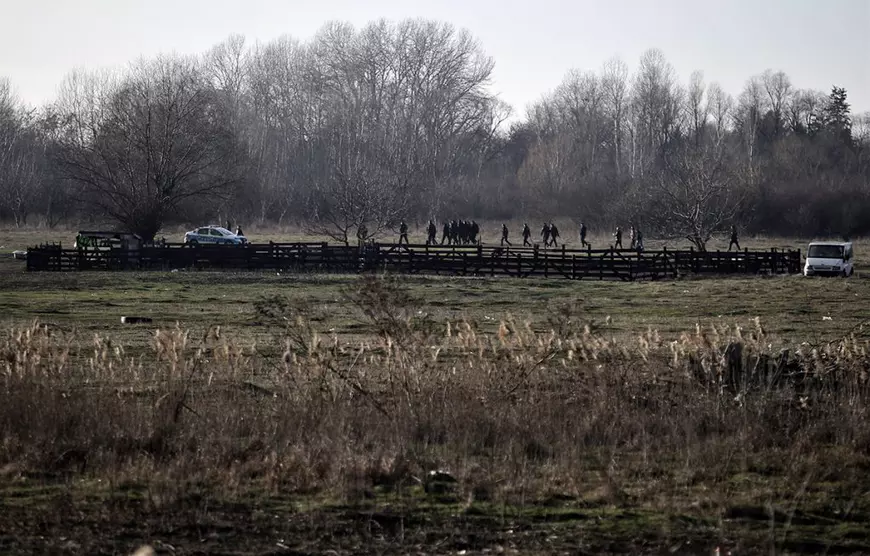 Clasare în cazul Anei Oroş, femeia ucisă de câini lângă Lacul Morii din Bucureşti. „Fapta nu e prevăzută de legea penală”, deşi a existat un „mediu propice haitei de câini”, spun magistraţii 