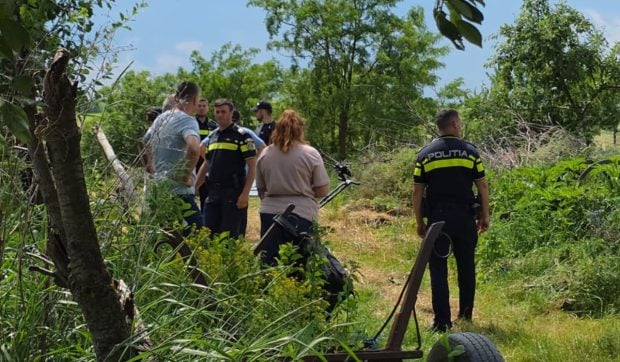 Trupul unui bărbat dispărut din aprilie, găsit îngropat în curtea sa din Vârfu Câmpului, anchetă pentru crimă deschisă