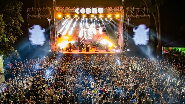 Peste 85.000 de copaci plantați în șase ediții: Cum CODRU Festival transformă muzica și natura în comunitate