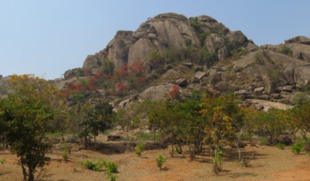 Descoperire Revoluționară în India: Dovezi de 3,5 Miliarde de Ani ale Vieții Microbiene