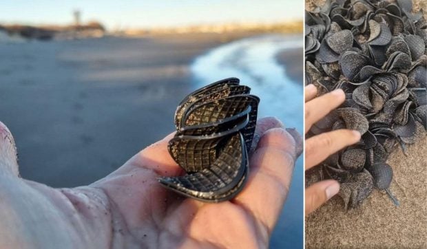 Plajele de la Marea Adriatică, acoperite de dischete negre din plastic: „Sunt un simbol al poluării care continuă să amenințe”