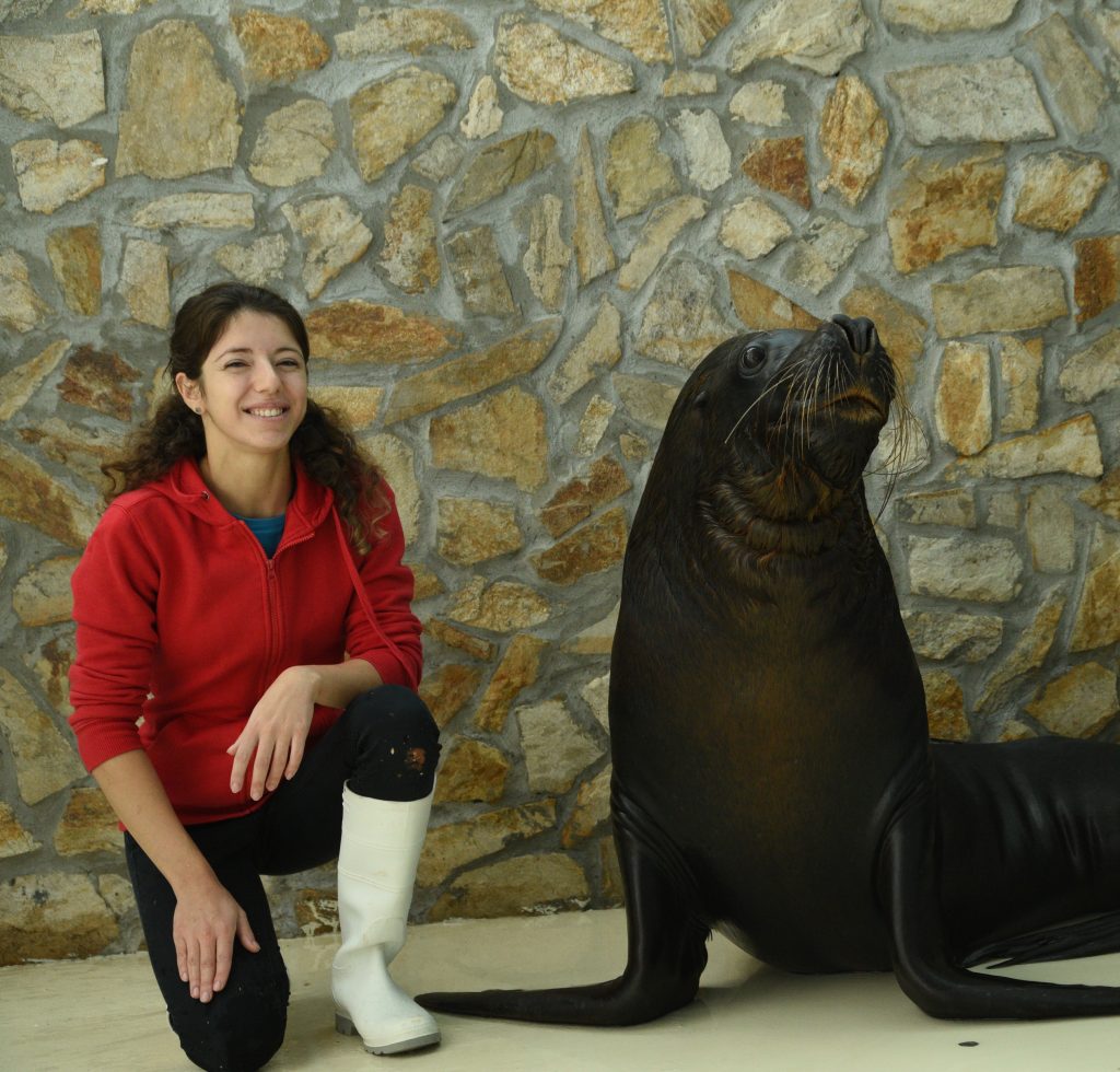 Viața fascinantă a unui instructor de mamifere marine la Delfinariul din Constanța: Descoperă secretele acestei meserii rare! 2 dsc2022