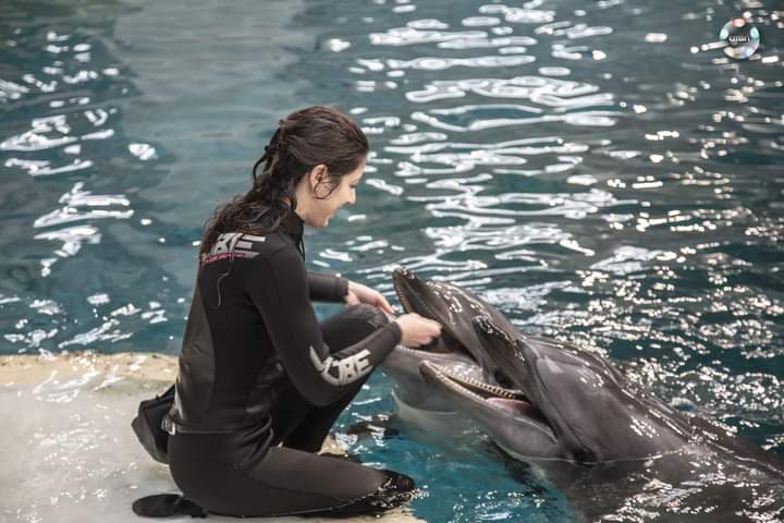 Viața fascinantă a unui instructor de mamifere marine la Delfinariul din Constanța: Descoperă secretele acestei meserii rare! 1 fbimg1609012419149