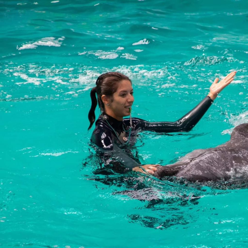 Viața fascinantă a unui instructor de mamifere marine la Delfinariul din Constanța: Descoperă secretele acestei meserii rare! 6 fbimg1725896447504