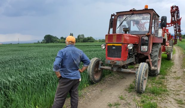Lipsa forței de muncă calificate în România obligă fermierii să angajeze lucrători din afara UE.