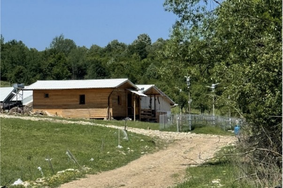 Singurul drum spre o fermă cu sute de animale, blocat de Apele Române. Instituția, obligată să permită accesul prin pârâu. Fermier: „Măsura e clar abuzivă”