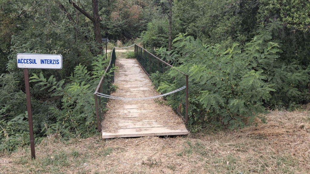 Singurul drum spre o fermă cu sute de animale, blocat de Apele Române. Instituția, obligată să permită accesul prin pârâu. Fermier: „Măsura e clar abuzivă”