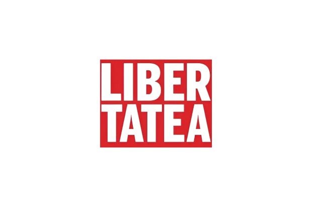România intră în cursa pentru energia eoliană din offshore: Guvernul propune șase perimetre marine de peste 11 GW. Principala provocare – rețeaua de transport 