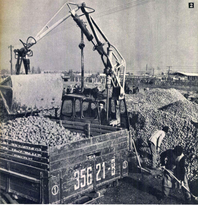 În noiembrie 1964, trenurile aduceau în Gara Progresul o mare parte din cartofii destinaţi aprovizionării de iarnă a Capitalei. De aici ei plecau spre centrele de desfacere. Presa vremii nota că erau puse în vânzare 300.000 de sacoşe cu cartofi.