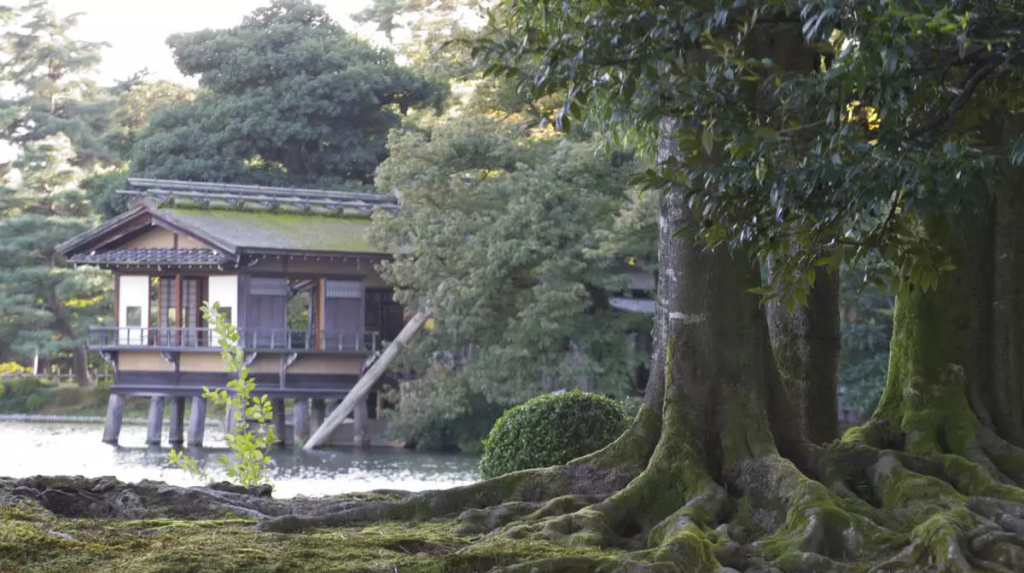 Una din șapte case este goală în Japonia, iar unele se vând cu mai puțin de un euro. Iată explicația
