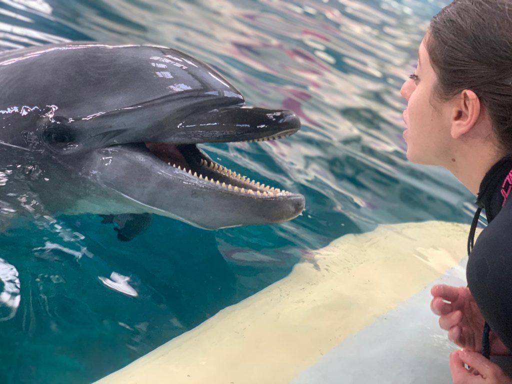 Viața fascinantă a unui instructor de mamifere marine la Delfinariul din Constanța: Descoperă secretele acestei meserii rare! 8 img 20201001 wa0013