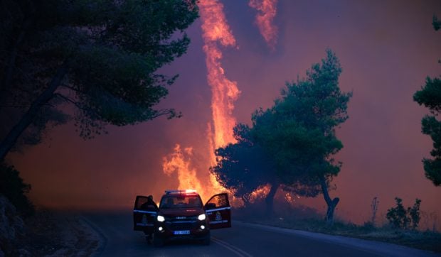 Algeria reintroduce pedeapsa cu moartea pentru piromani după ce incendiile de vegetație au făcut ravagii: „Se va proceda la execuţie”