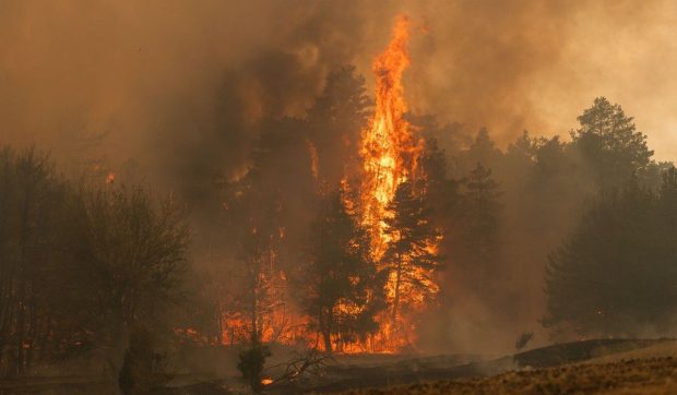 Elicopterul Black Hawk al României sprijină intervenția împotriva incendiilor din Serbia cu multiple lansări de apă