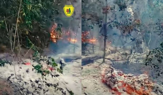 Incendiu în zona Plauru din Tulcea: MApN trimite specialiștii EOD după ce localnicii au anunțat că flăcările ar fi izbucnit de la o dronă