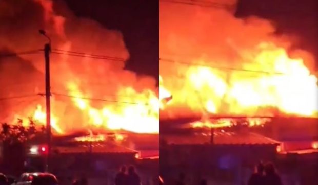 Tragedie în Săcălaz: Un bărbat și-a pierdut viața încercând să salveze câinele în timpul unui incendiu devastator la un complex social