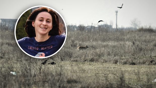 Clasare în cazul Anei Oroş, femeia ucisă de câini lângă Lacul Morii din Bucureşti. „Fapta nu e prevăzută de legea penală”, deşi a existat un „mediu propice haitei de câini”, spun magistraţii 