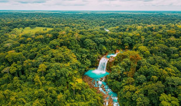 Cum a transformat Costa Rica eliminarea armatei în cel mai mare succes global în reîmpădurire