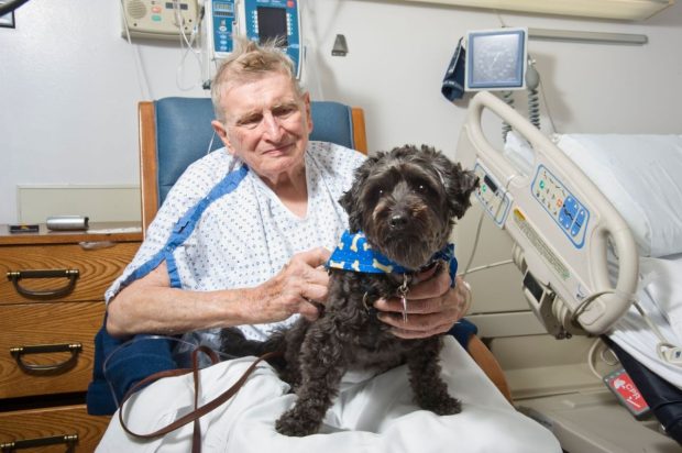 Bolnavii internați pe perioade îndelungate pot fi vizitați de animalele de companie, la un spital din Portugalia
