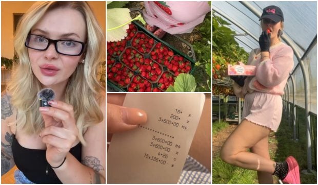 O tânără din Polonia povestește despre experiența de a culege căpșuni în Germania: câștiguri și eforturi în 33 de zile