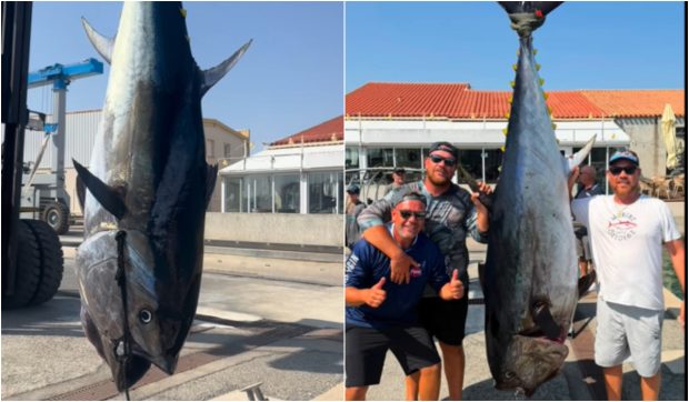 Trei frați au prins un ton roșu de 230 kg și 2,6 metri. Captura din Marea Mediterană poate valora peste 20.000 de euro
