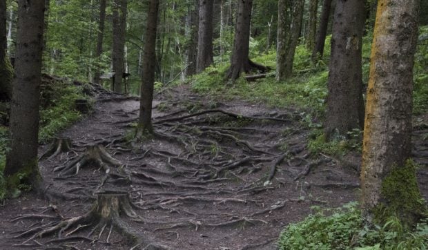 Destinație răcoritoare lângă Timișoara pentru a scăpa de caniculă: traseul tematic Cetatea Bănița redeschis turiștilor