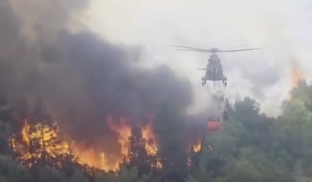 Fumul devastator din incendiile Serbiei cuprinde Timișoara și provoacă îngrijorare în rândul locuitorilor