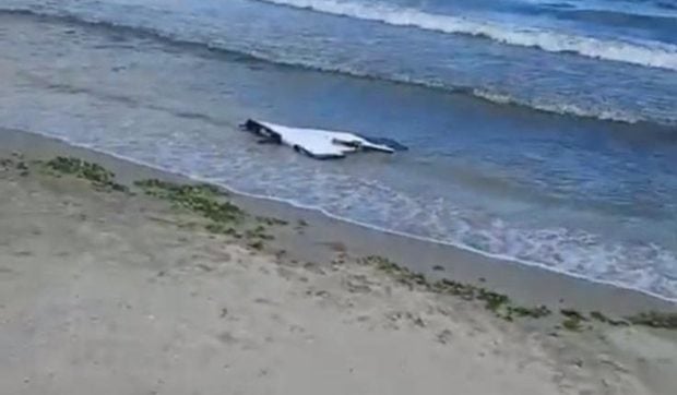 Un fragment de dronă, adus de valuri pe plaja Modern din Constanța: obiectul nu avea explozibil și urmează să fie analizat
