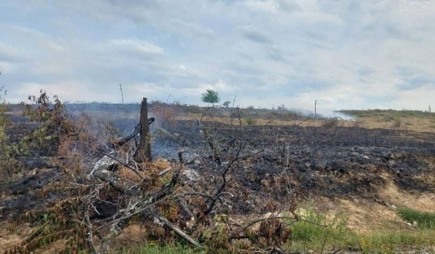 25 de hectare pârjolite de incendiu la Mizieș, în Bihor, iar vântul puternic împinge flăcările spre case