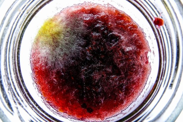 Gemul cu mucegai: este sigur să îndepărtezi mucegaiul sau trebuie aruncat tot borcanul?