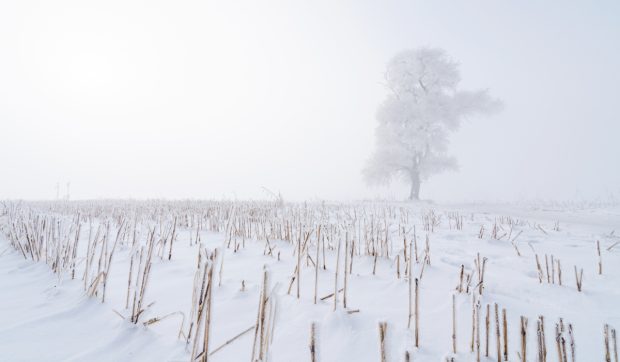 Prognoza ninsorilor pentru iarna 2026-2027 în Europa: primele modele meteo arată schimbări majore din cauza Super El Niño